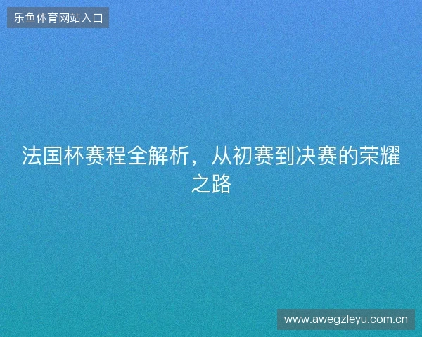 法国杯赛程全解析，从初赛到决赛的荣耀之路